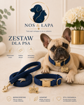 Zestaw dla psa – obroża, smycz i adresówka